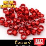 20 Pcs Racing Pigeons Leg aluminum 8mm Rings Bands for Foot Bird Chicks