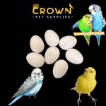 Canaries FAKE EGGS Solid Plastic FOR Parakeet, Dummy STOP LAYING & BREEDING Ct 7