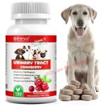 Urinary Tract Infection Treatment for Dogs, Natural Herb, Cranberry Kidney Stone