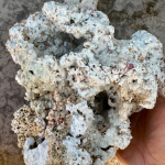 Cured Fiji Live Rock Aquarium Reef Fish Tank Marine