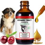 Urinary Tract Infection Treatment for Dogs, Natural Herb, Cranberry Kidney Stone