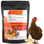 Astragalus Extract Powder For Birds - All Natural