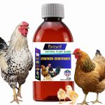 Chicken Dewormer Liquid All Natural Plant Based For Poultry